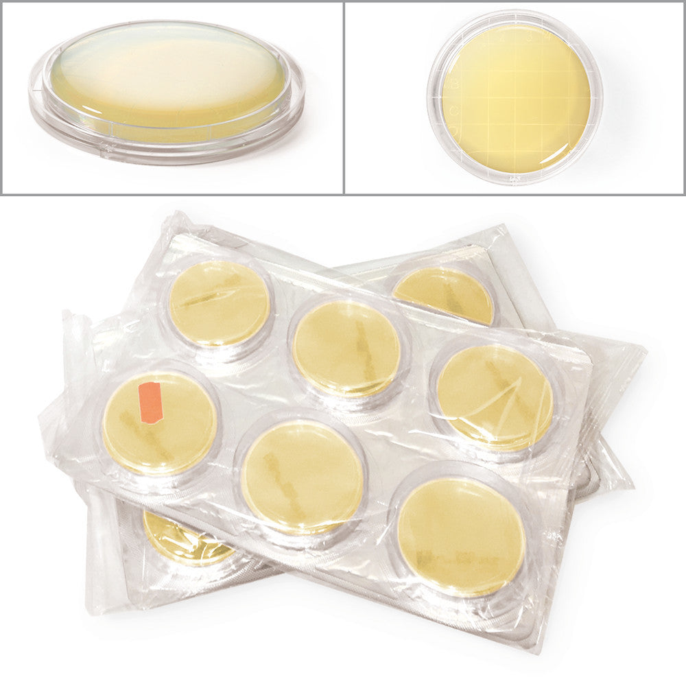 ROTI®ContiPlate TSA-Letheen, ready-to-use, sterile, for microbiology, 30 unit(s) - Luminix Health