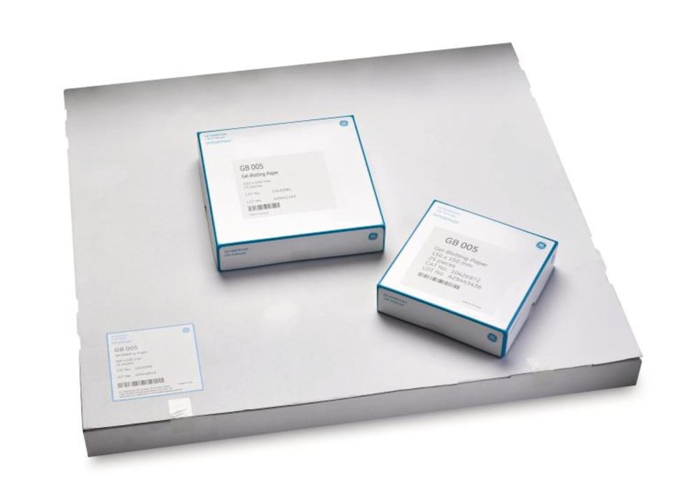 Gel-Blotting-papers (GB005), thick. 1.5 mm, 200 x 200 mm,, 25 sheet(s) - Luminix Health