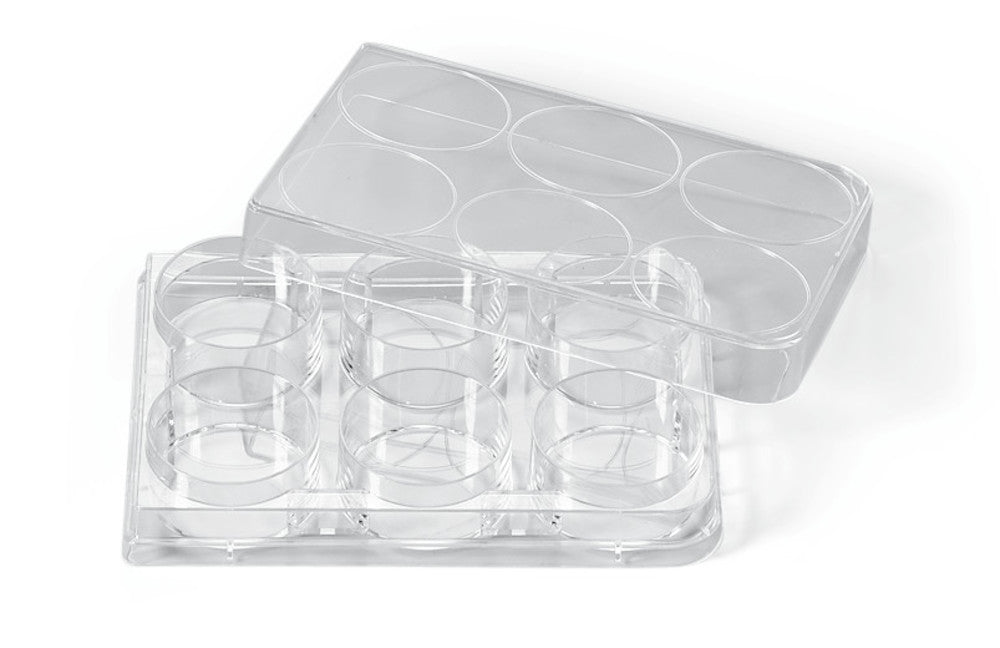 Macro plates, 6-well, 100 unit(s) - Luminix Health