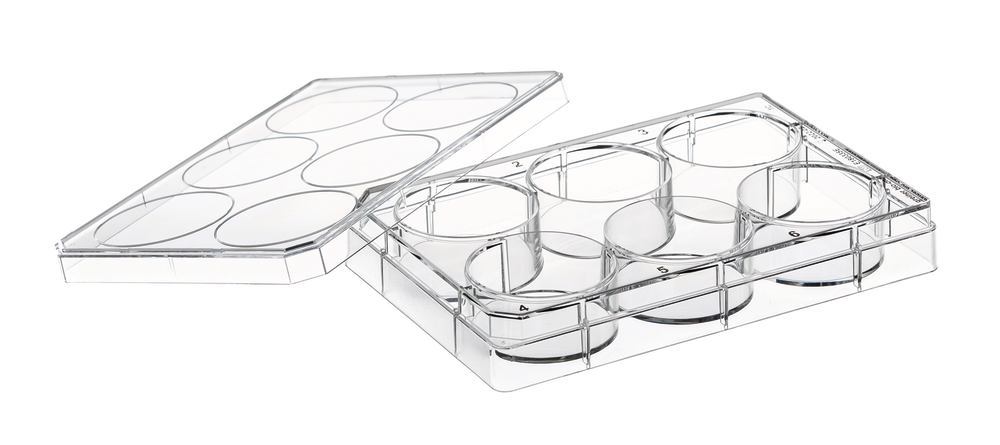 Cell culture Multiwell plates, PS, with cover plate, sterile, 6 Wells - Luminix Health