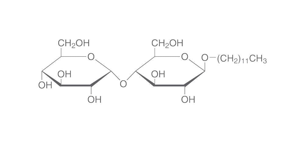 Dodecyl-beta-D-maltoside (DDM), min. 99,5 %, Ultra Quality, 250 mg, glass - Luminix Health