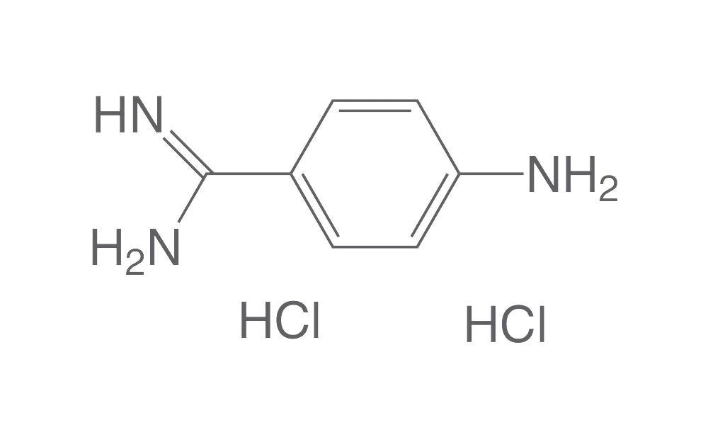 4-Aminobenzamidine dihydrochloride, min. 98 %, for biochemistry, 1 g, glass - Luminix Health