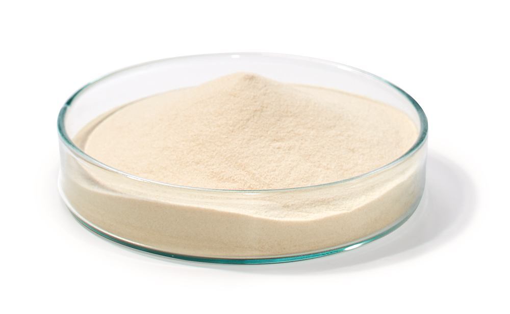Yeast Extract Agar DEV, EN ISO 6222, ISO 11133, 500 g, plastic - Luminix Health