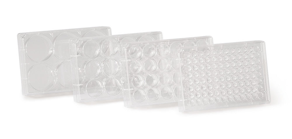 Cell culture plates, 100 pcs., 24 wells, vol. per well 3.5 ml, 100 unit(s) - Luminix Health