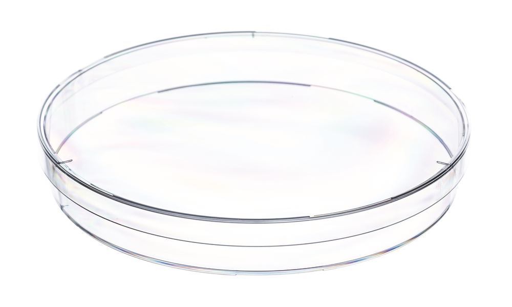 Petri dishes, unsterile, with ventilating cam, Ø 145 mm, H 20 mm, 120 unit(s) - Luminix Health