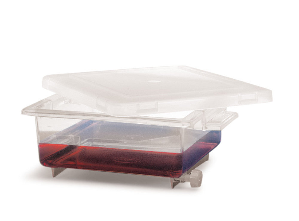 Staining chamber, PMP, L 125 x W 125 x H 50 mm, 2 pc., 2 unit(s) - Luminix Health