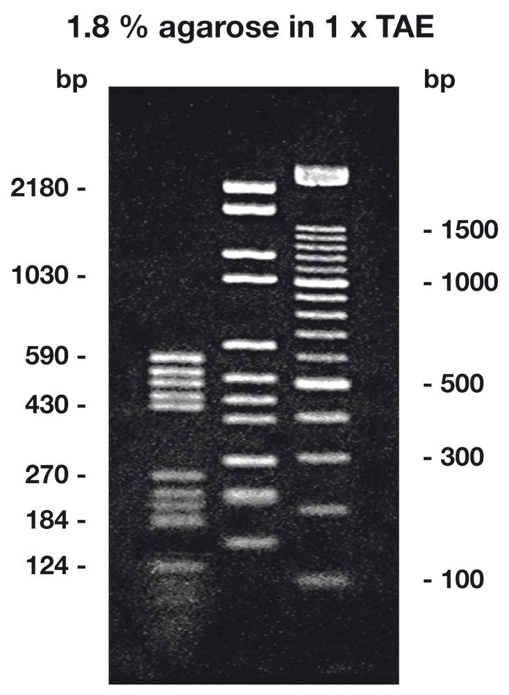 Agarose Super LM ROTI®Garose, with particularly low melting and, 5 g, plastic - Luminix Health