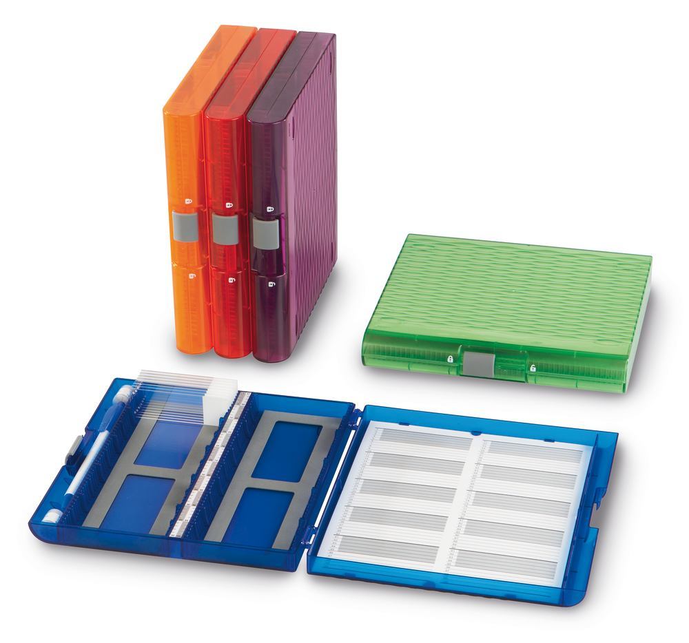 Premium microscope slide boxes, Green, L 207 x W 196 x H 32 mm, 5 unit(s) - Luminix Health