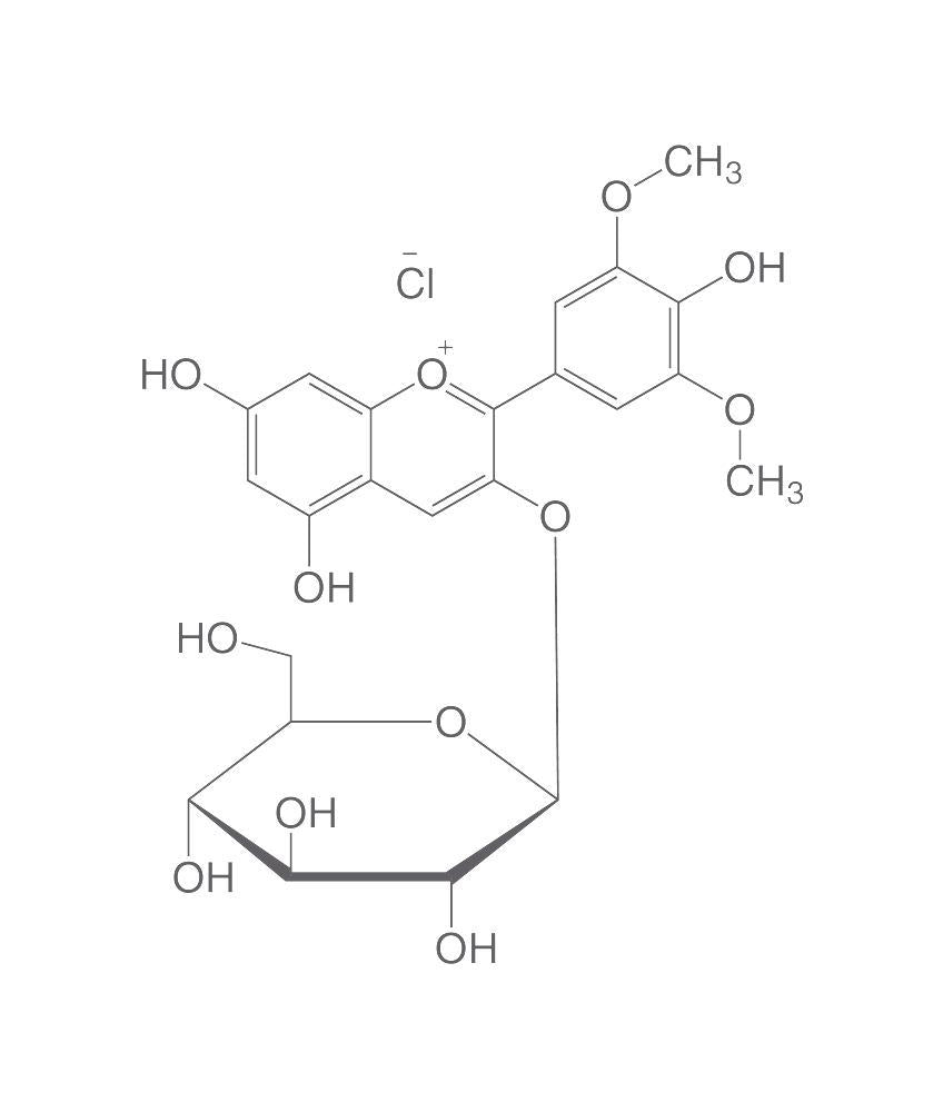 Oenin chloride, ROTICHROM® HPLC, 5 mg, glass - Luminix Health