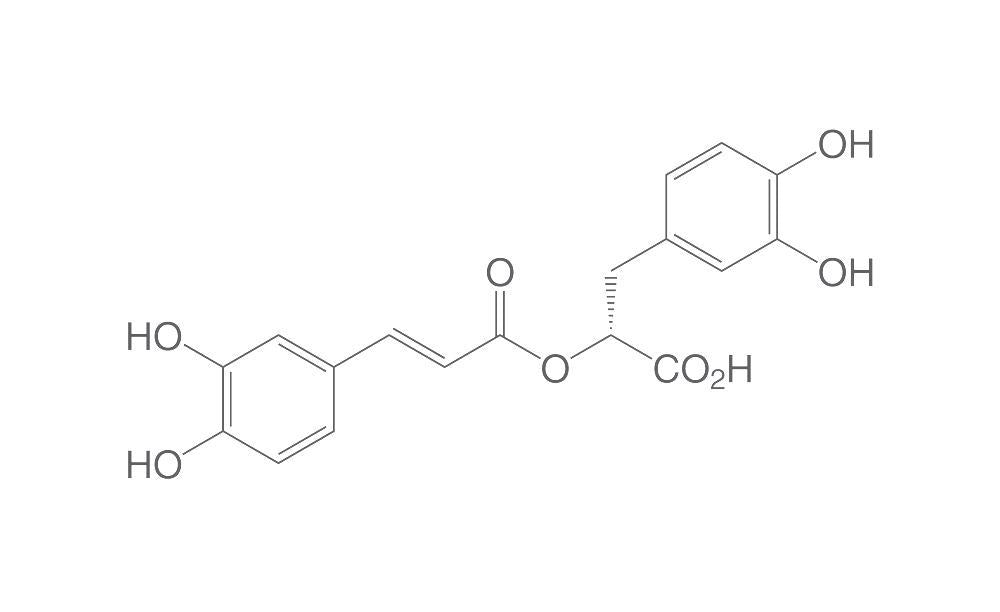 Rosmarinic acid, ROTICHROM® HPLC, 20 mg, glass - Luminix Health