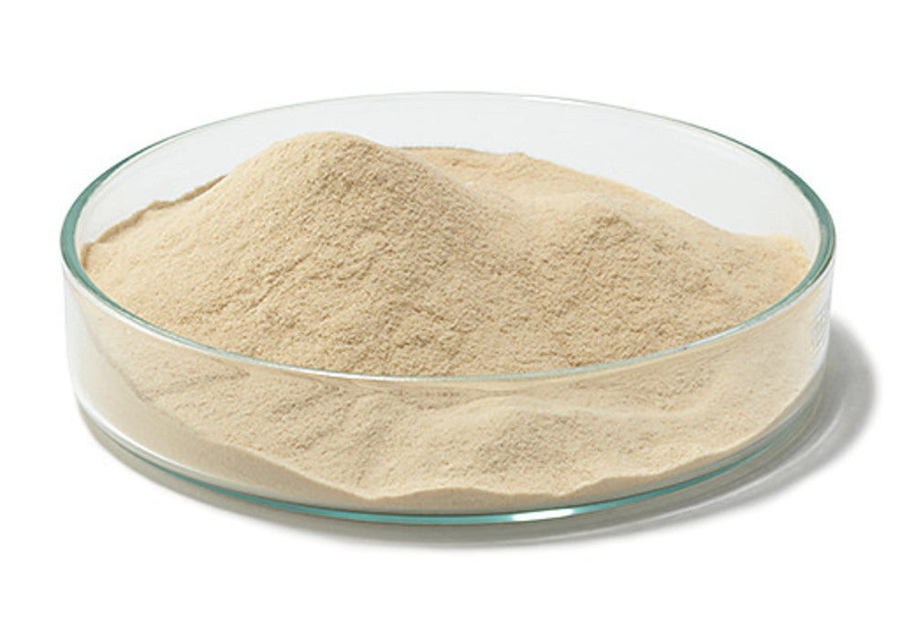 Nutrient Agar (DEV/ISO), DEV, EN ISO 16266,2008, 500 g, plastic - Luminix Health