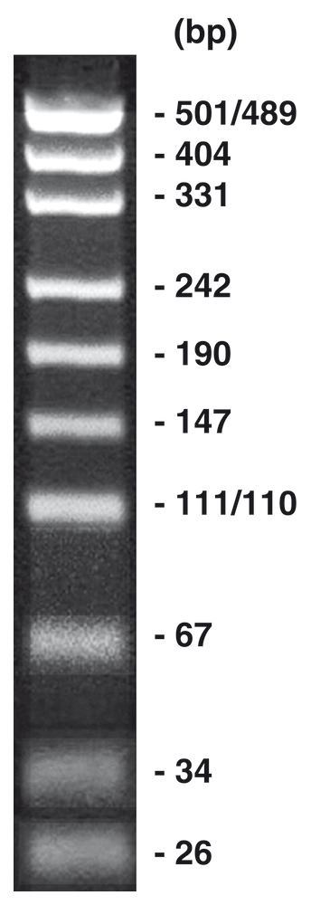 pUC19/Msp I, DNA-marker + gel loading buffer, 50 µg, plastic - Luminix Health