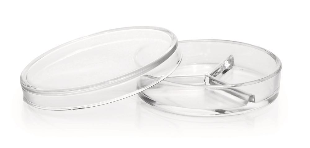 Petri dishes with partitions, DURAN®, Ø 100 x H 20 mm, with 3 partitions - Luminix Health
