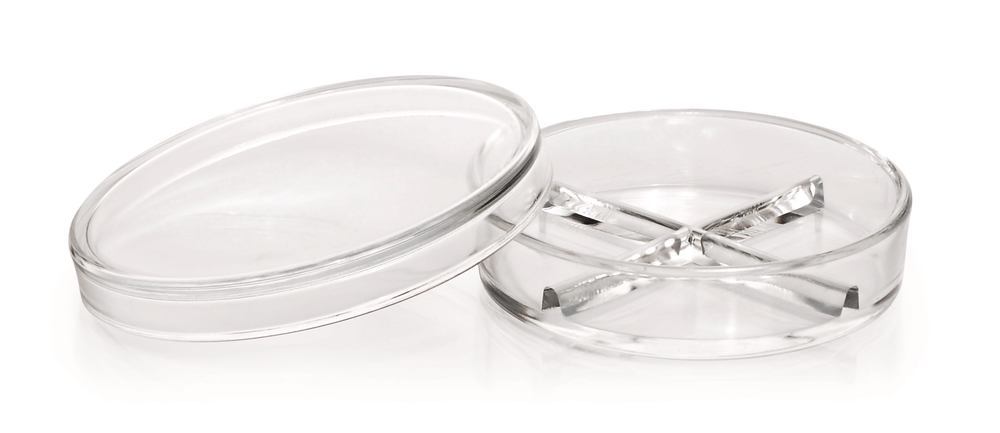 Petri dishes with partitions, DURAN®, Ø 100 x H 20 mm, with 4 partitions - Luminix Health