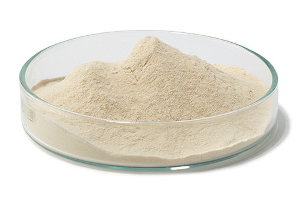 CASO Broth, ISO 10273, ISO 11133, 500 g, plastic - Luminix Health