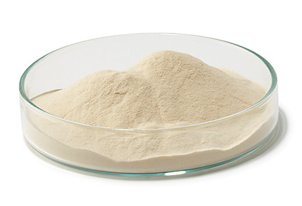 LB Broth (Lennox), for molecular biology, 500 g, plastic - Luminix Health
