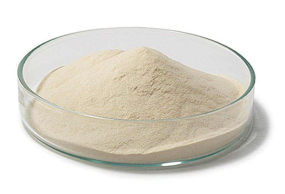 LB Agar (Luria/Miller), for molecular biology, 500 g, plastic - Luminix Health