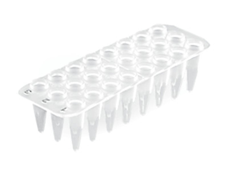 24-well PCR trays, without rack, 40 unit(s) - Luminix Health