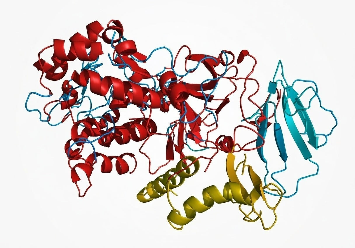 Urease, 1 U/mg, for biochemistry, 5 g, plastic - Luminix Health