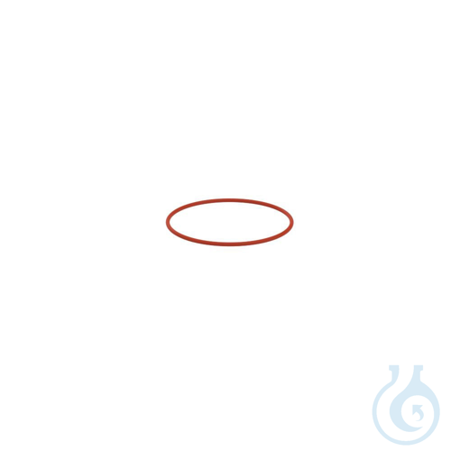SY O-ring 100, O-ring DN 100
