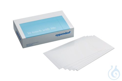 Storage film, adhesive (100 pcs.)