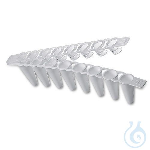 Masterclear doppen+buisstrips 120 stuks per stuk.