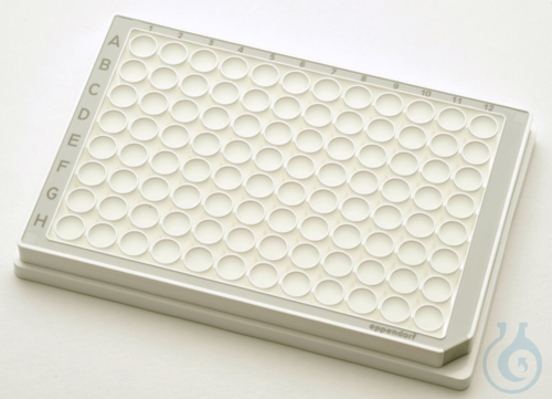 Microplate96/U-PP white/grey PCR 240pl.