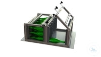 Rack System for champagne bottles