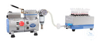 Rocker 300 230 V with microplate vacuum manifold