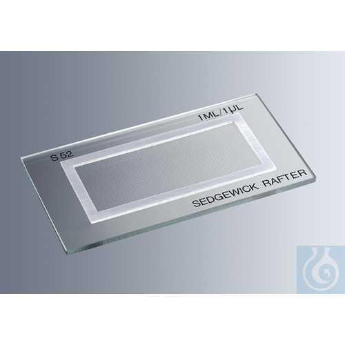 Counting chambers Sedgewick Rafter, made of glass
