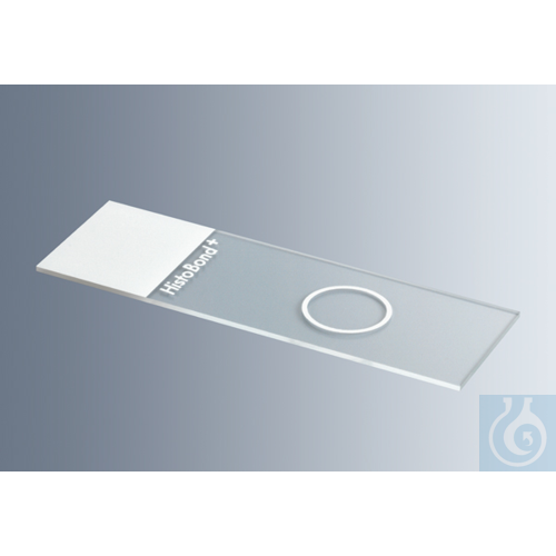 Microscope slides HistoBond®+ white with 1 circle