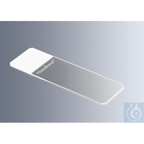 Microscope slides HistoBond® + white, 100/box