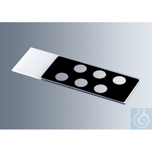 Microscope slides with reaction wells