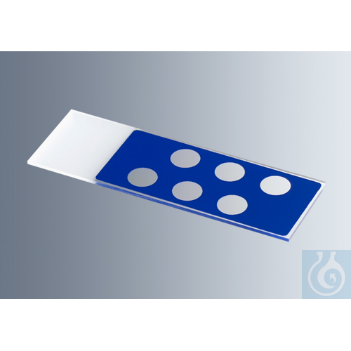Microscope slides with reaction wells
