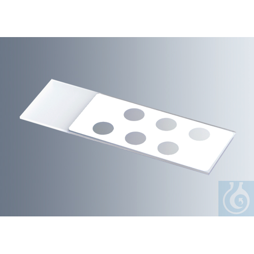 Microscope slides with reaction wells