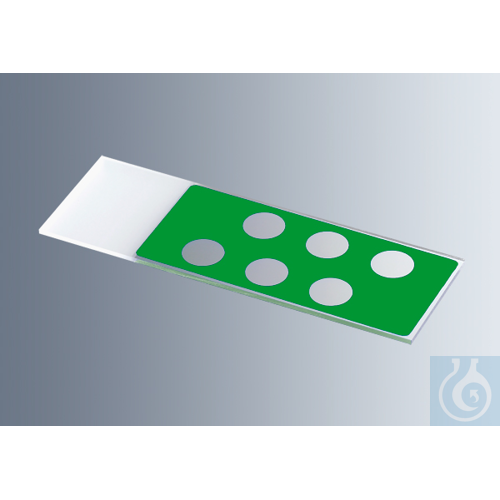 Microscope slides with reaction wells
