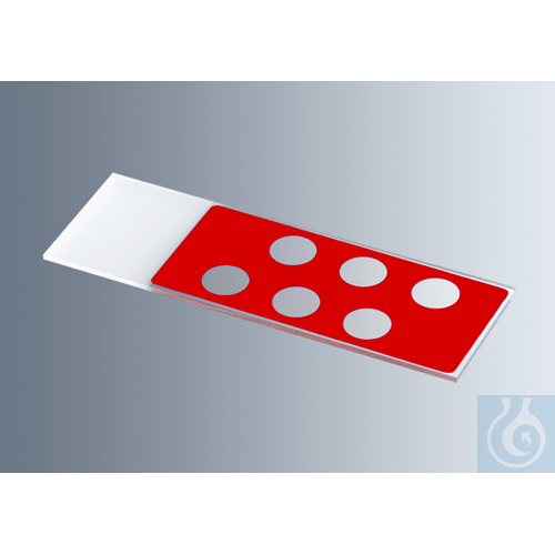 Microscope slides with reaction wells