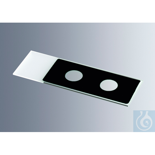 Microscope slides with reaction wells