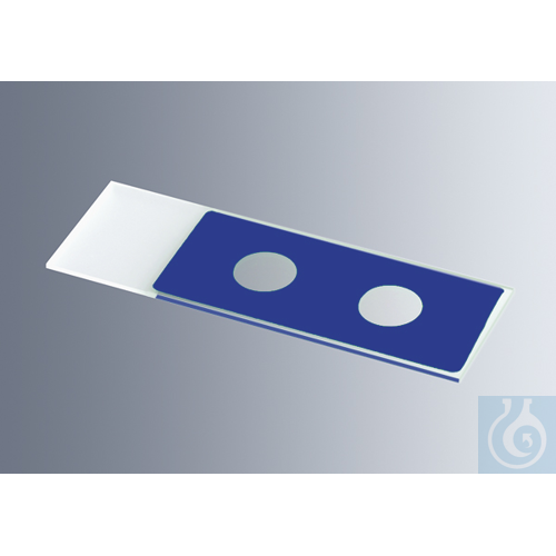Microscope slides with reaction wells