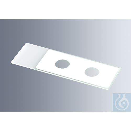 Microscope slides with reaction wells