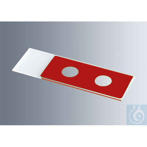 Microscope slides with reaction wells