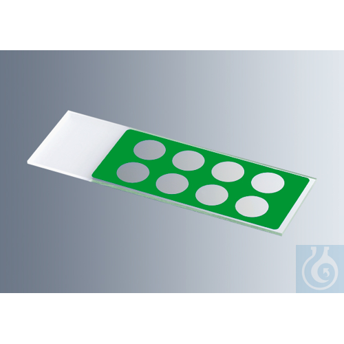 Microscope slides with reaction wells