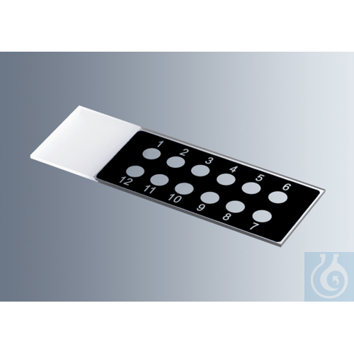 Microscope slides with reaction wells