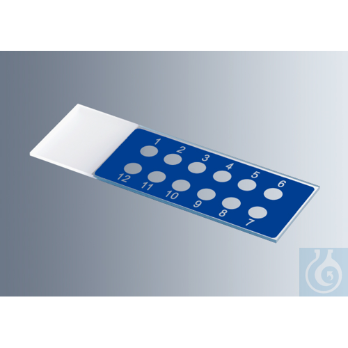 Microscope slides with reaction wells