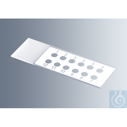 Microscope slides with reaction wells