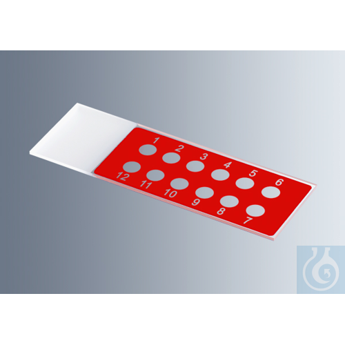 Microscope slides with reaction wells