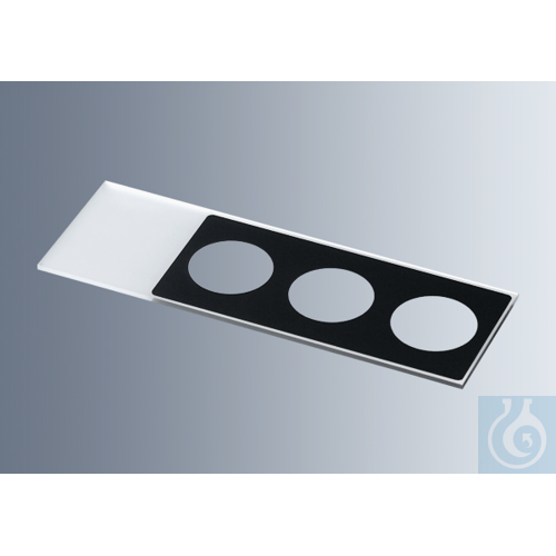 Microscope slides with reaction wells