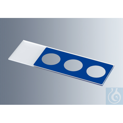 Microscope slides with reaction wells