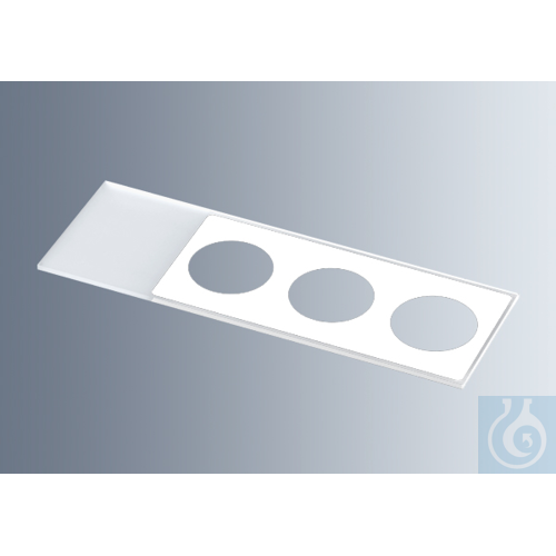 Microscope slides with reaction wells