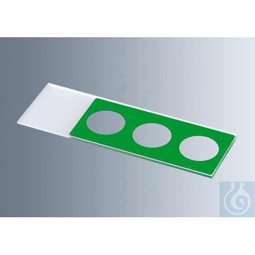 Microscope slides with reaction wells